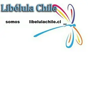 LibelulaChile.com